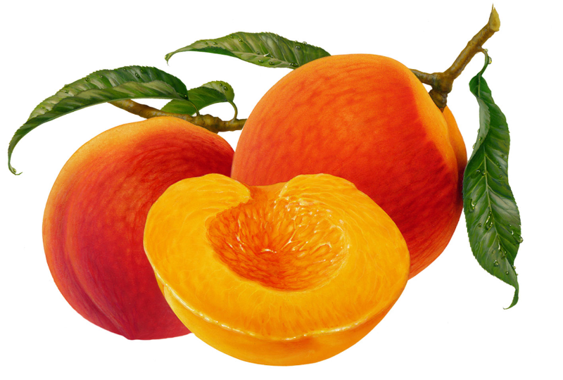 pesche